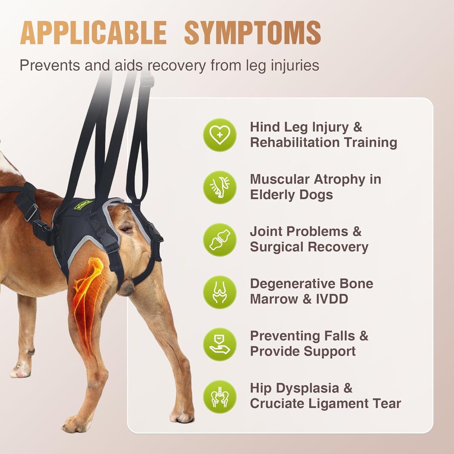 Dog Sling for Medium Dogs Hind Leg Support, Dog Sling for Back Leg Provides Support for Dogs with Joint Problems, Relieves Pain, Assists Walking, IVDD Dog Supplies with Reflective Material- M