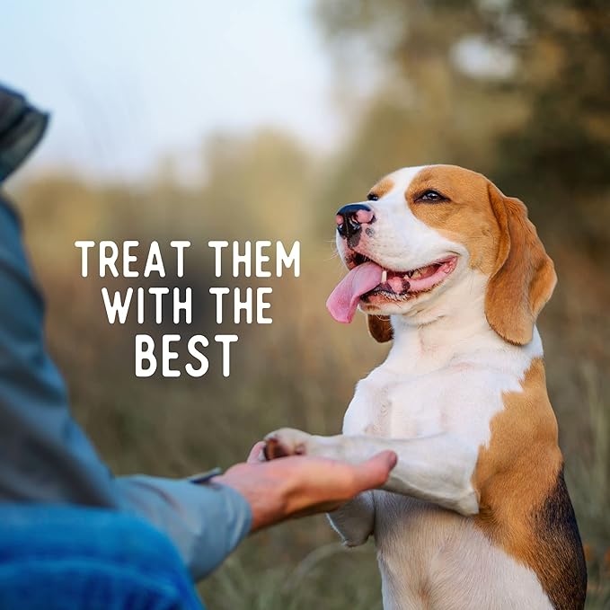 Beg & Barker Turkey Chips for Dogs (8 Ounce, Pack of 1) - Single Ingredient Dog Treats Made for Large & Small Dogs Protein Human Grade Dog Treats Made from Real Meat Turkey, Made in USA