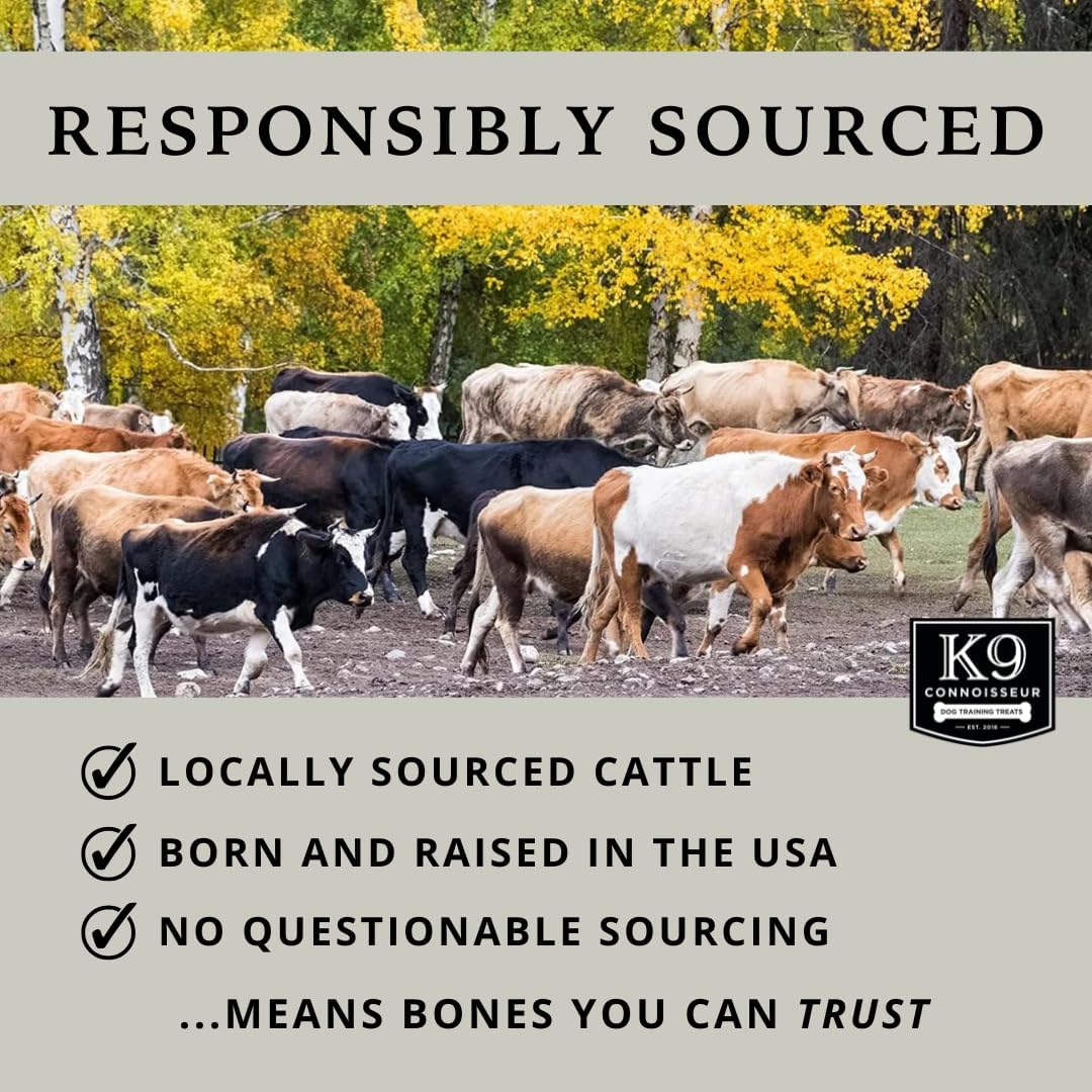 K9 Connoisseur Dog Bones Made in USA for Small and Medium Breed Dogs Natural Long Lasting Meaty Beef Knee Cap Bone Treats Best for Dogs Upto 50 Pounds 1 Pack 10 Count