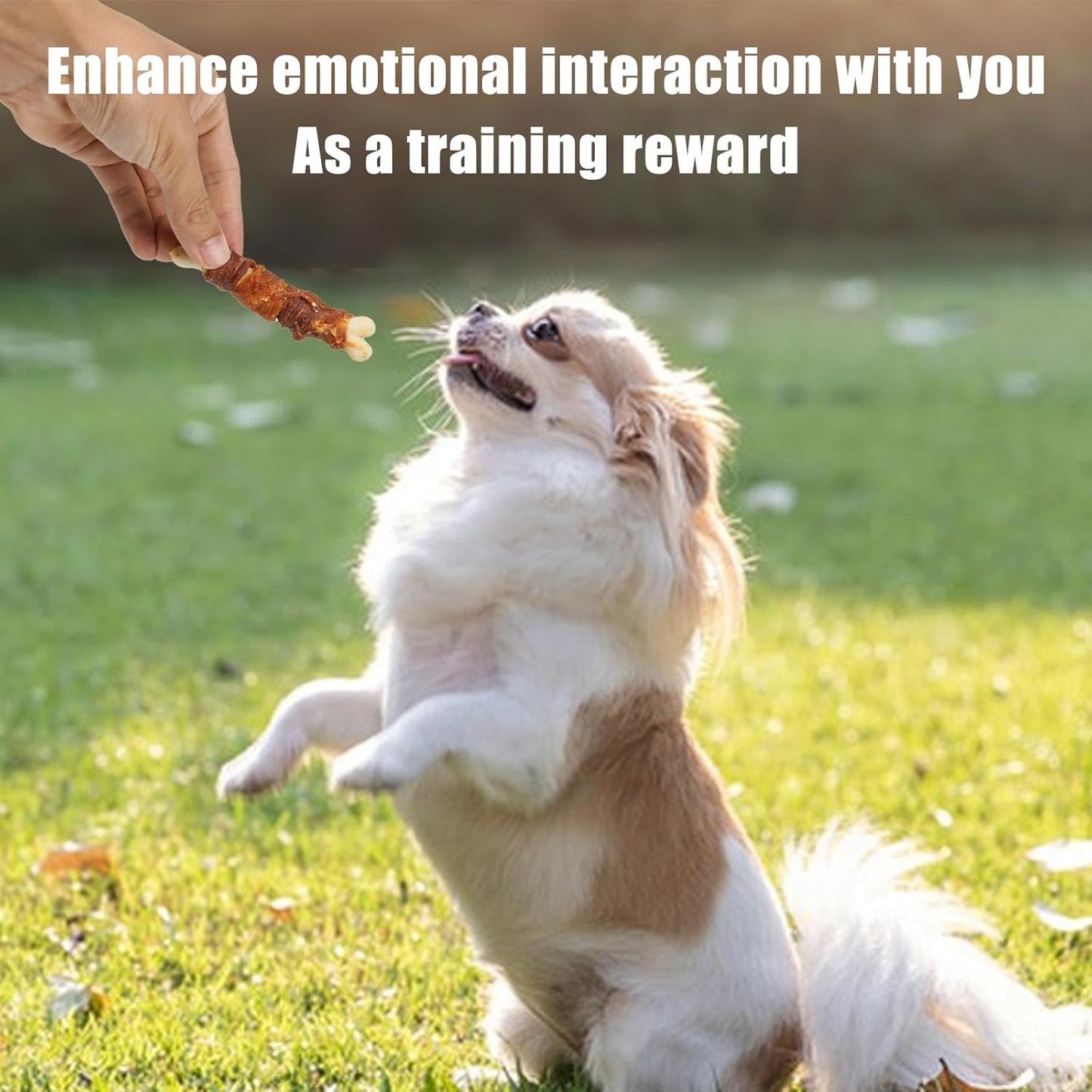 MON2SUN Double Flavor Dog Treats, 4 Inch Chicken and Duck Wrapped Calcium Bones, Rawhide Free Chews for Small Dogs, Teeth Cleaning Bones, 10.58oz (15 Count-Pack of 1)