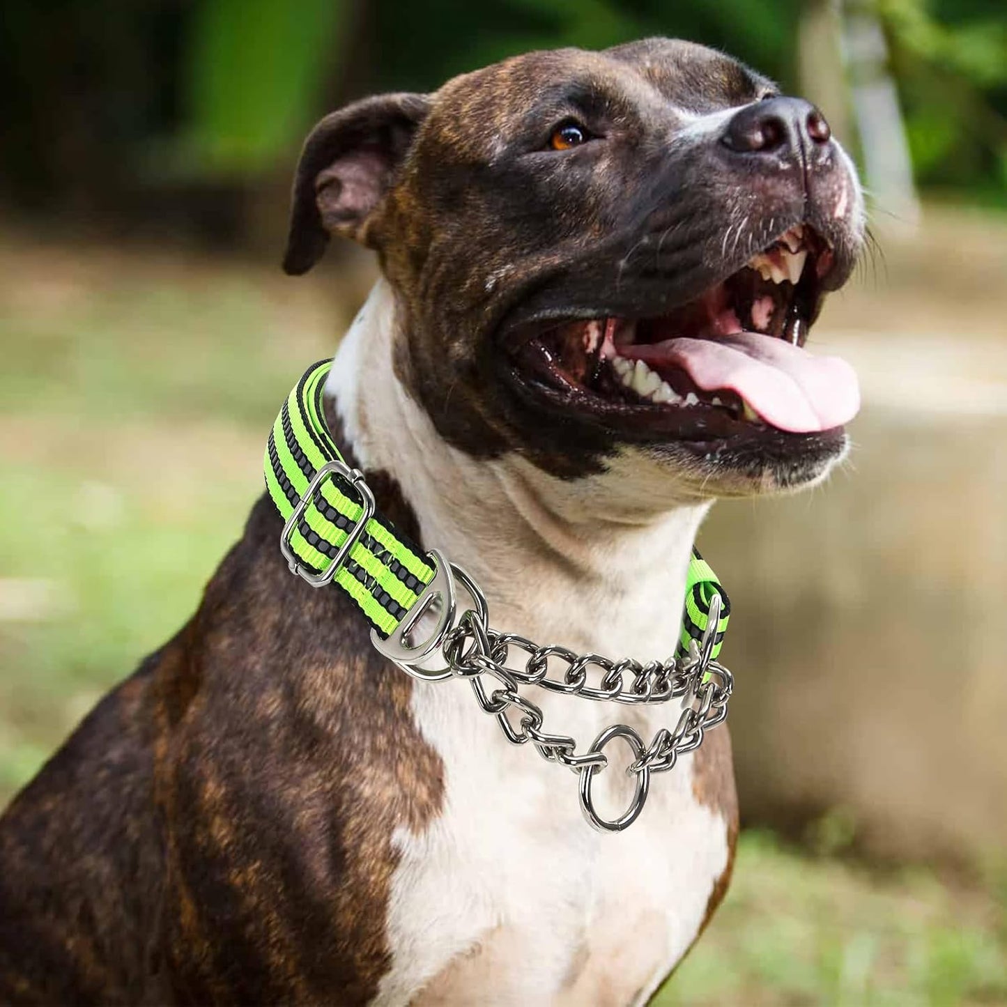 Martingale Collar Dog with Reflective,Nylon Soft Padded Adjustable Choke Collar for Large Breed Dogs, Medium, XL, XXL - Training & Walking Pet Safety Collar (Green XL)