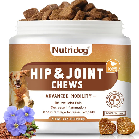 Hip and Joint Supplement for Dogs with Glucosamine, Chondroitin & MSM - Duck Flavor Joint Care Chews, 120 Count - Advanced Mobility Support - Senior Dog Approved (Duck)