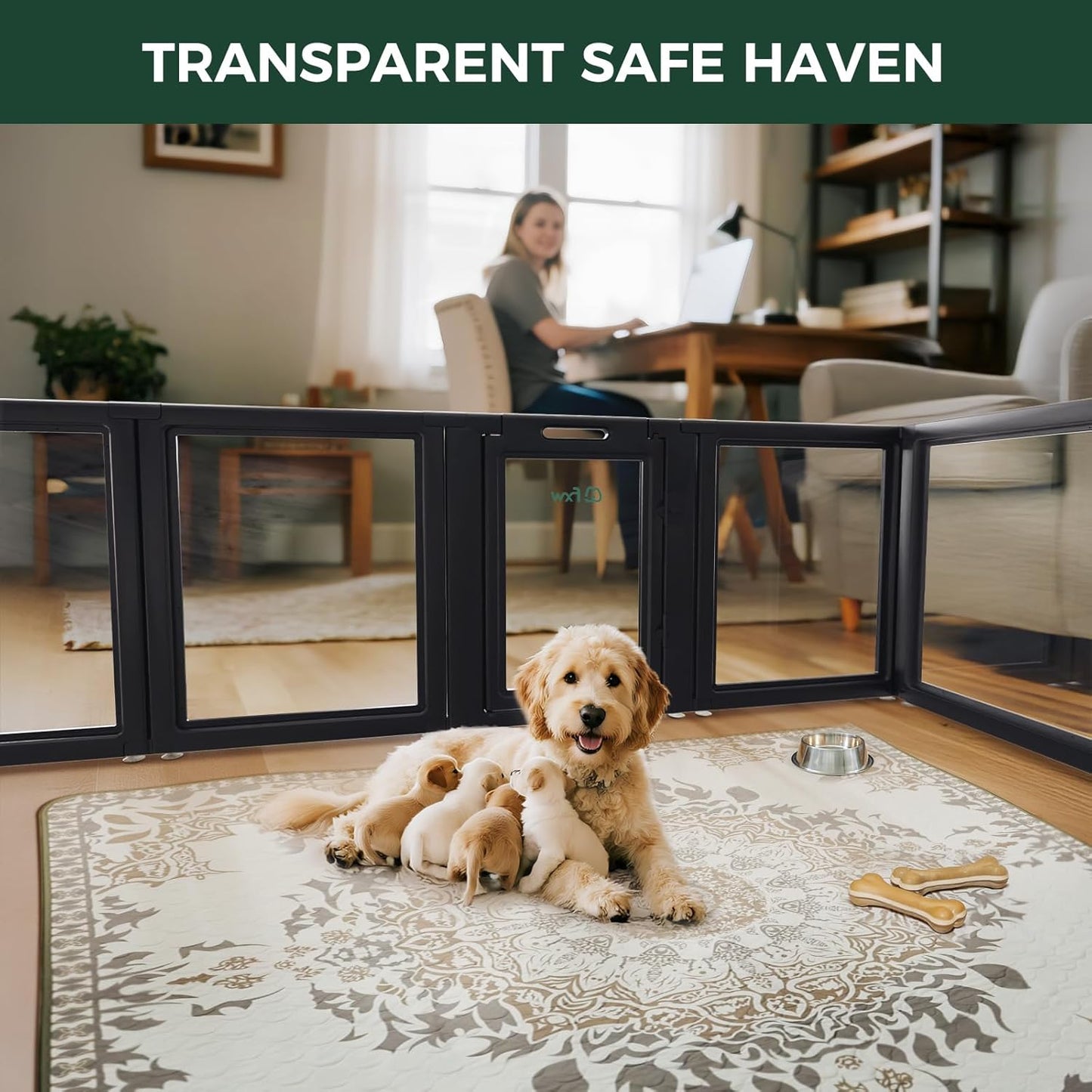 FXW AuraSpace Acrylic Indoor Unleashed Dog Playpen for Puppies and Small Dogs, 24 Inch, 8 Panels, Black