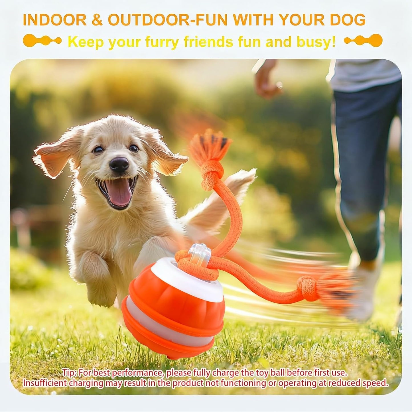 Interactive Dog Toys，Peppy Pet Ball for Dogs，Motion Activate Rolling Ball for Puppy/Medium Dogs，Active Rolling Dog Bal l Wicked Bal l for Daily Training, Dog Toys to Keep Them Busy (Blue)