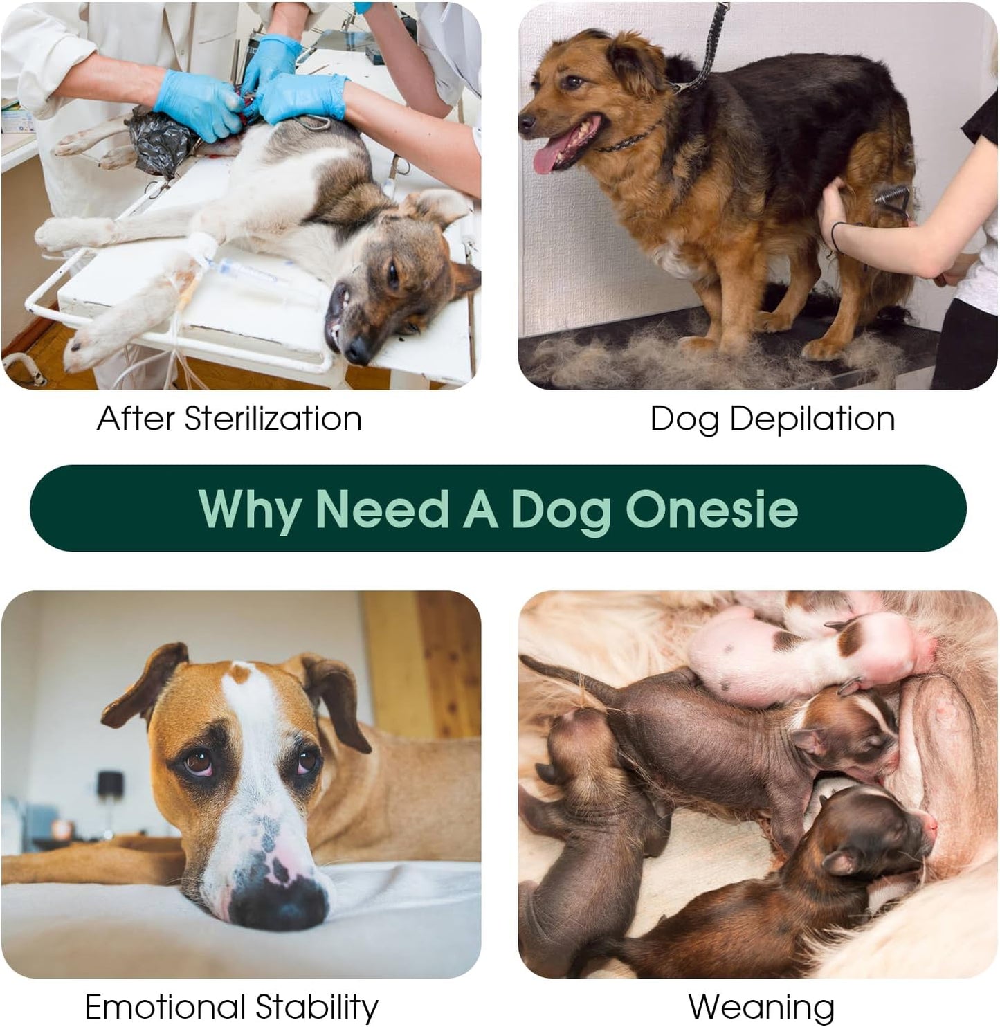 Kuoser Dog Recovery Suit for Post-Surgery Care, Spay Neuter Bodysuit for Female & Male Dogs, Anti-Licking Surgical Onesie, Snug Fit for Abdominal Wound Protection & Skin Healing, Brown XL