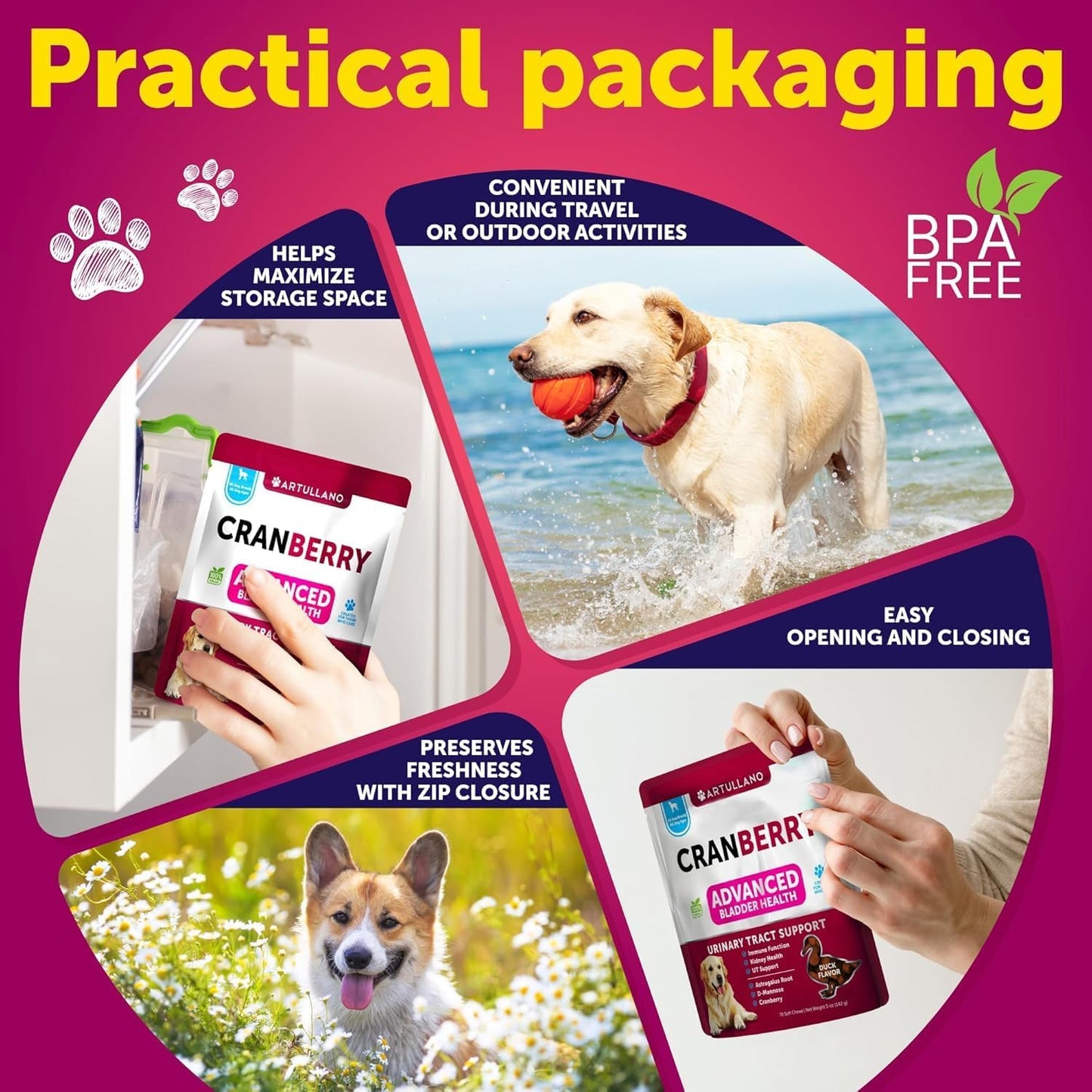 Dog UTI Treatment - Cranberry Supplement & Bladder Control for Dogs - Urinary Tract Infection Incontinence Pill, Bladder Stones - UTI Medicine Treats - 70 Soft Chews for Kidney Support with Fish Oil