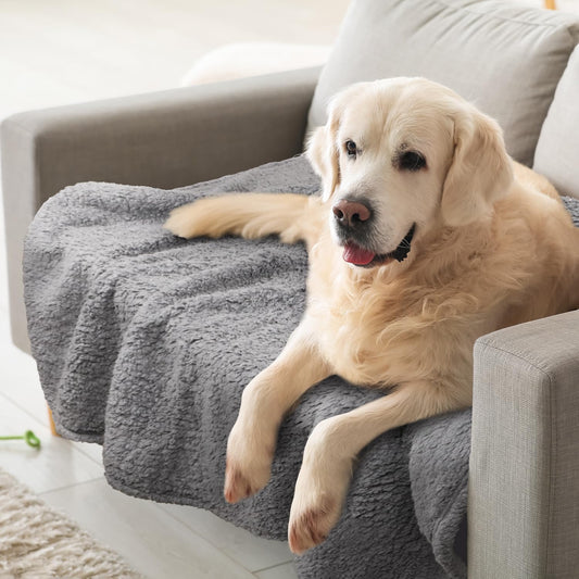 furrybaby Dog Blanket Soft Dog Blankets for Large Dogs Puppy Essentials Washable Sherpa Fleece Cat Blanket 41x65 Inches for Bed Furniture Couch Sofa (X Large, Grey)