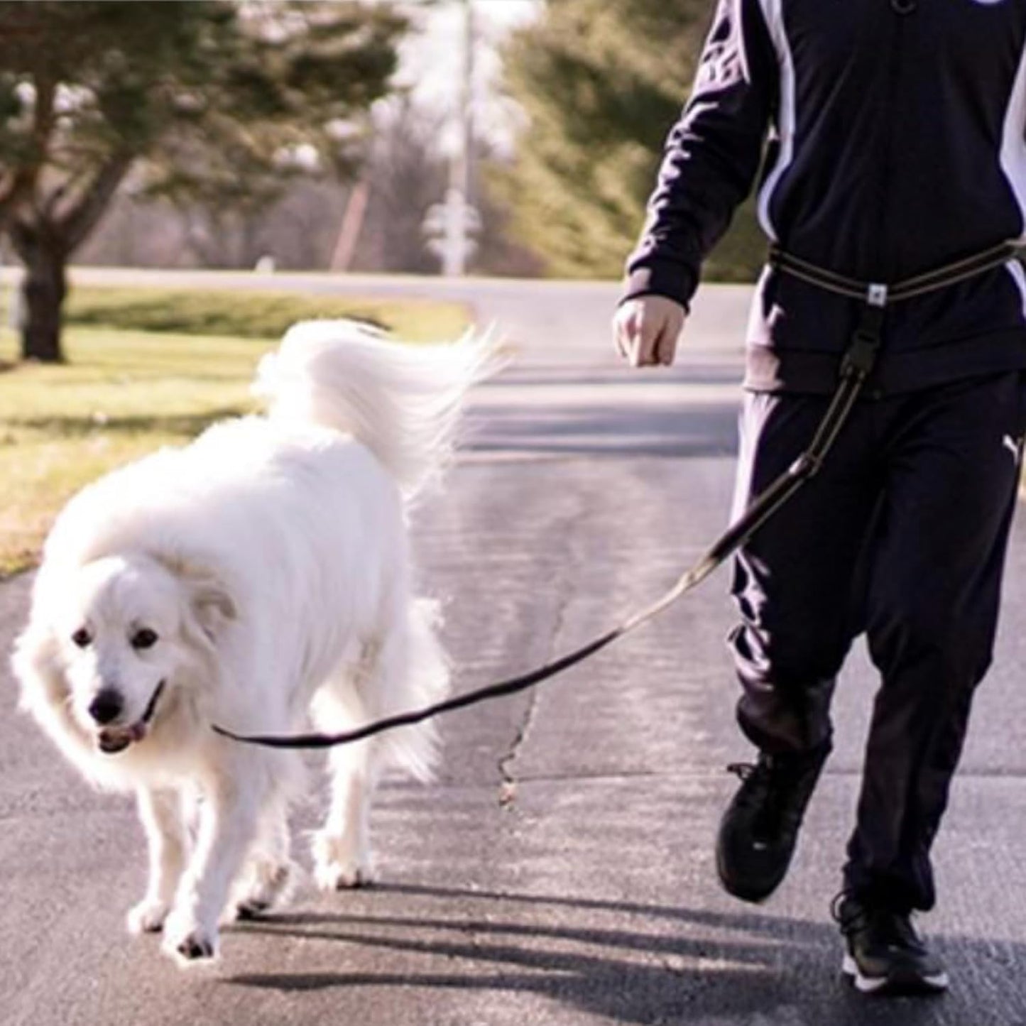 Caldwell's Pet Supply Co. Hands-Free Dog Leash, Adjustable Waist Leash for Dog Walking, Non-Bungee, Hands Free Harness, Durable and Versatile Waist Belt Leashes, Cross Body for Dogs (26" - 47")