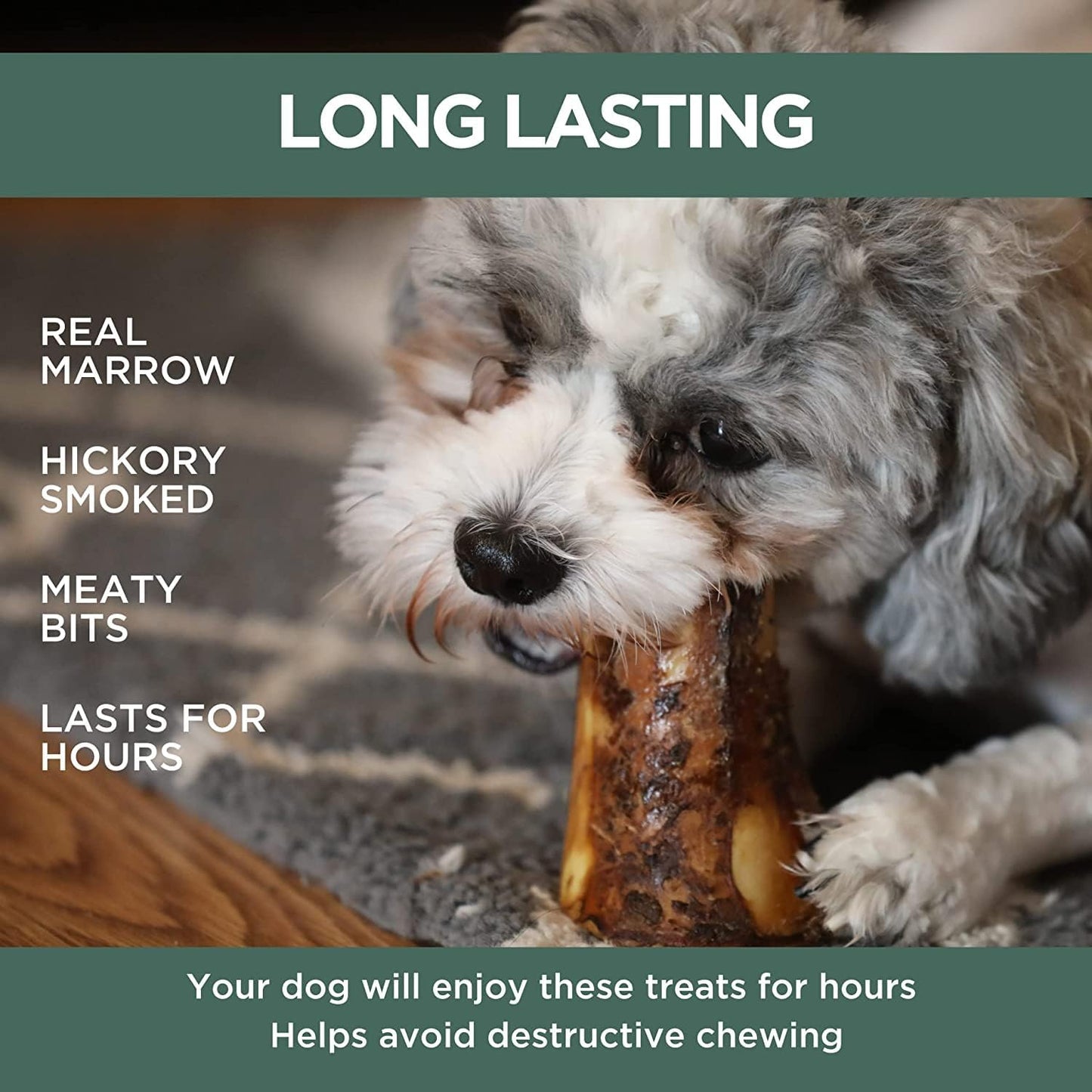 K9 Connoisseur Single Ingredient Dog Bones Made in USA for Small and Medium Breed Dogs Who Struggle with Boredom Natural Meaty Beef Knee Cap Bone Chew Treats Best for K9s Up to 50 Pounds - 16 Pack