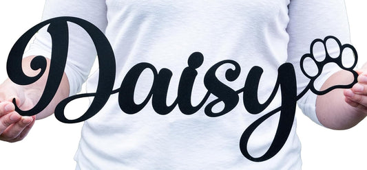 Personalized Metal Pet Name with Paw | Custom Metal Décor | Dog Name Sign | Gift for Dog Mom Dad | Pet Loss Memorial Gift