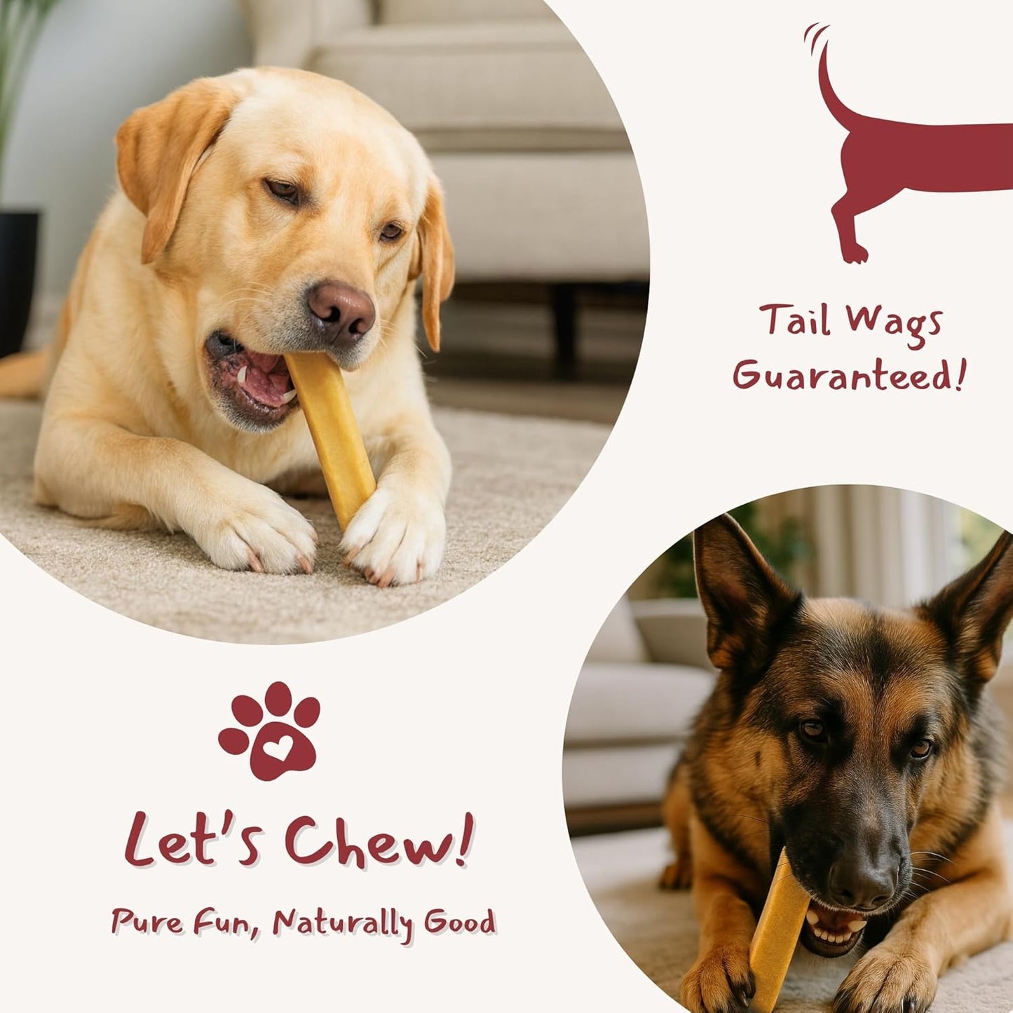 Majestic Pet Himalayan All-Natural Yak Cheese Dog Chews Made with 100% Cows Milk- Long Lasting Dental Chew for Dogs - Healthy Pet Treats with Beneficial Ingredients (Variety Pack, Regular, 5 Pack)