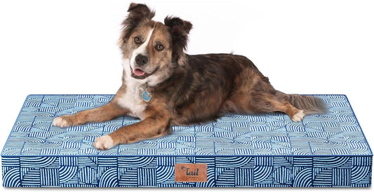 Orthopedic Dog Bed for Large Size Dogs, Big Waterproof Dog Bed Washable Pet Bed for Large Dogs with Egg Crate Foam Pet Mat, Removable Oxford Cooling Cover, White Blue