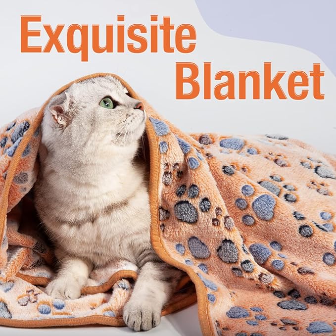 Pet Soft 1 Pack 3 Pet Blankets for Dogs - Fluffy Cats Dogs Blanket for Small Medium & Large Dog, Cute Print Pet Throw Puppy Blankets Fleece (Paws, 3M)