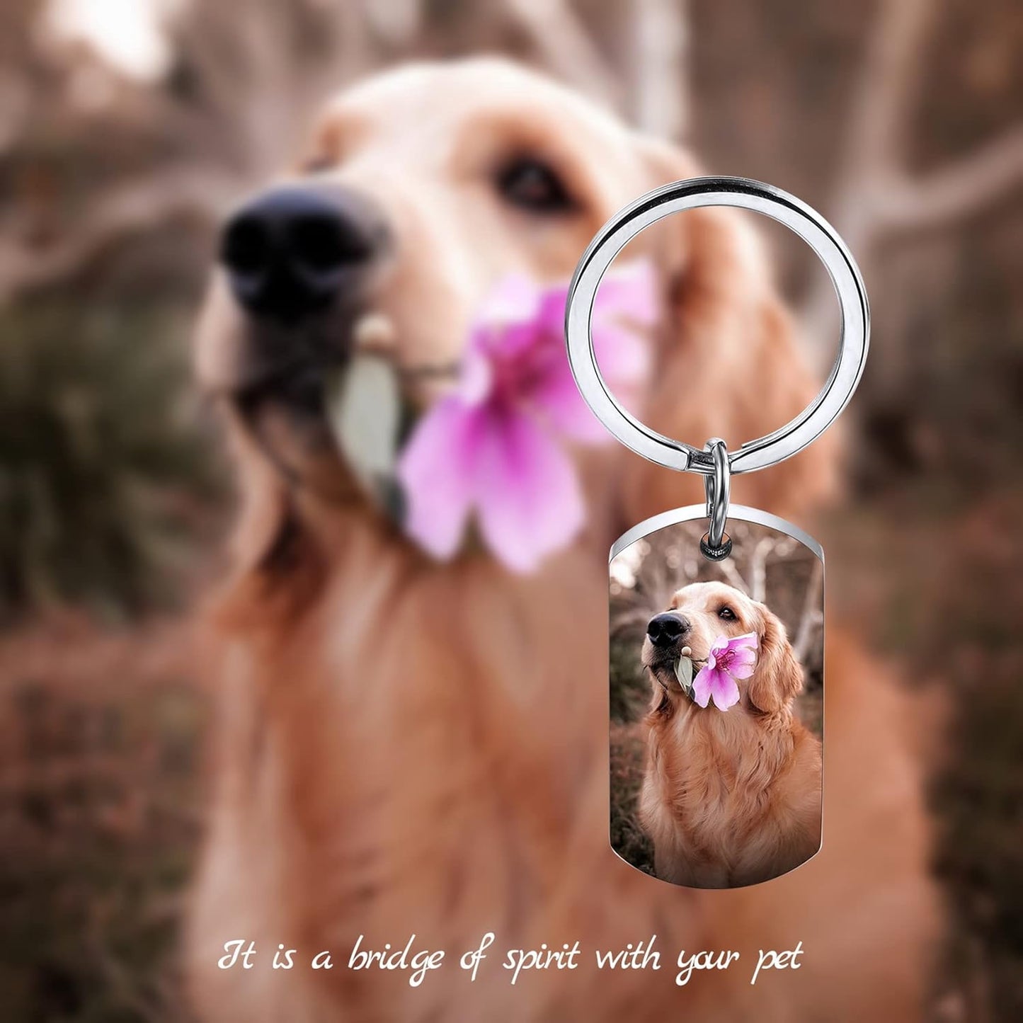 Personalized Cremation Urn Keychain for Pet Human Ashes Custom Photo/Name/Date Dog Cat Paw Print Pendant Stainless Steel Keyring Memorial Keepsake Keychain for Women Men (Style A1)