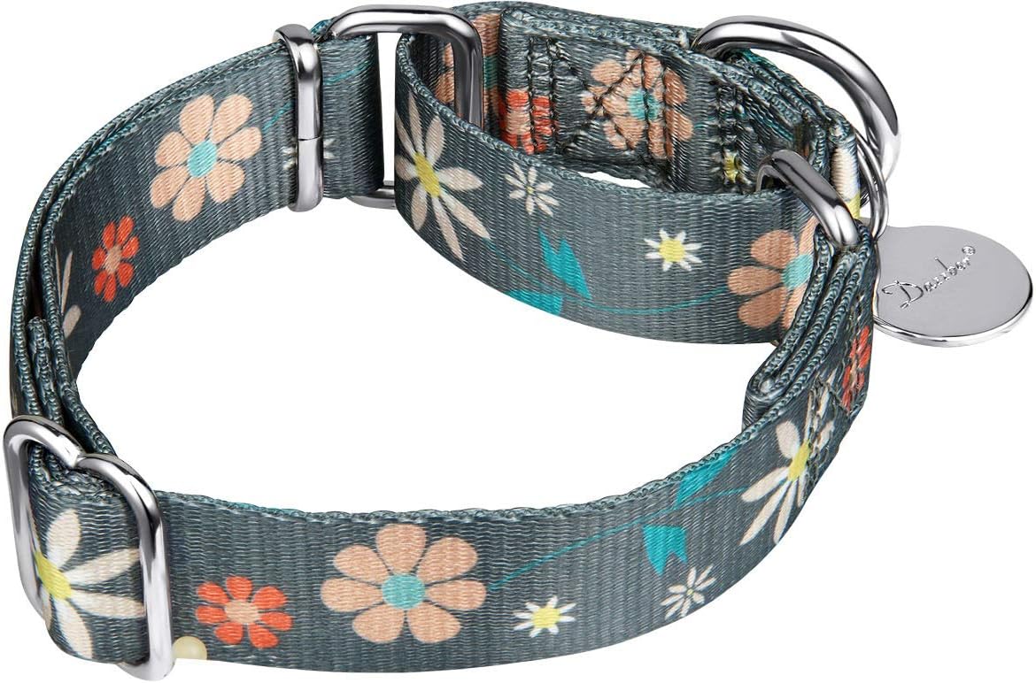 Martingale Collar Floral Print Dog Collar, No Pull Pet Collar, Heavy Duty Adjustable Dog Collar, Medium, Neck 14 Inch to 21 Inch, Elegant Flowers -Warm Grey