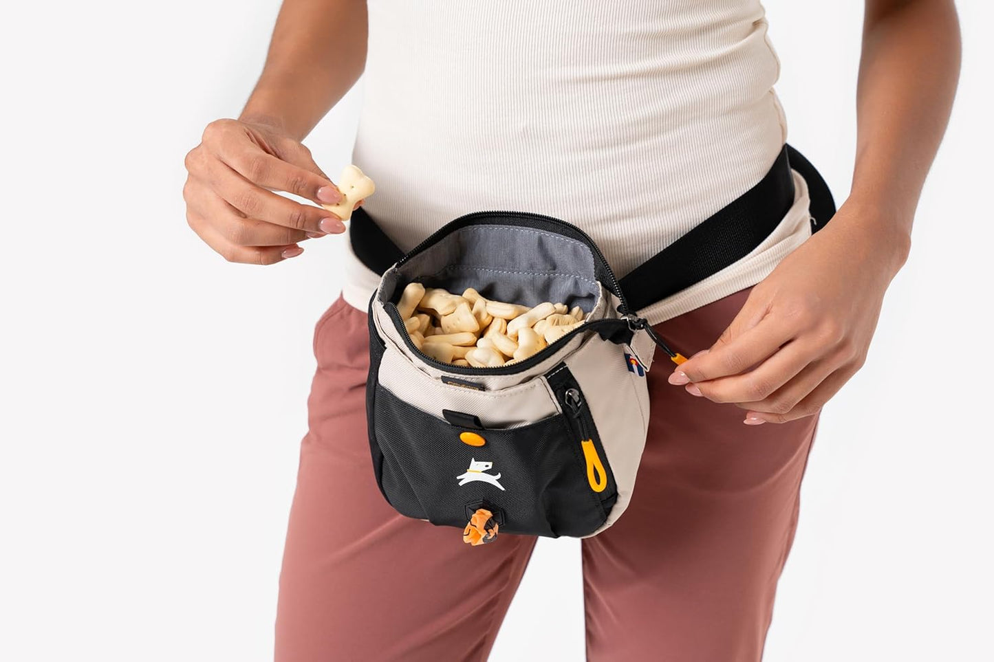OllyDog Backcountry Day Bag | Hands-Free Dog Training Treat Pouch | Fanny/Hip Pack with Zipper Closure & Built-in Poop Bag Dispenser | Removable Waist Clip (Con Leche)