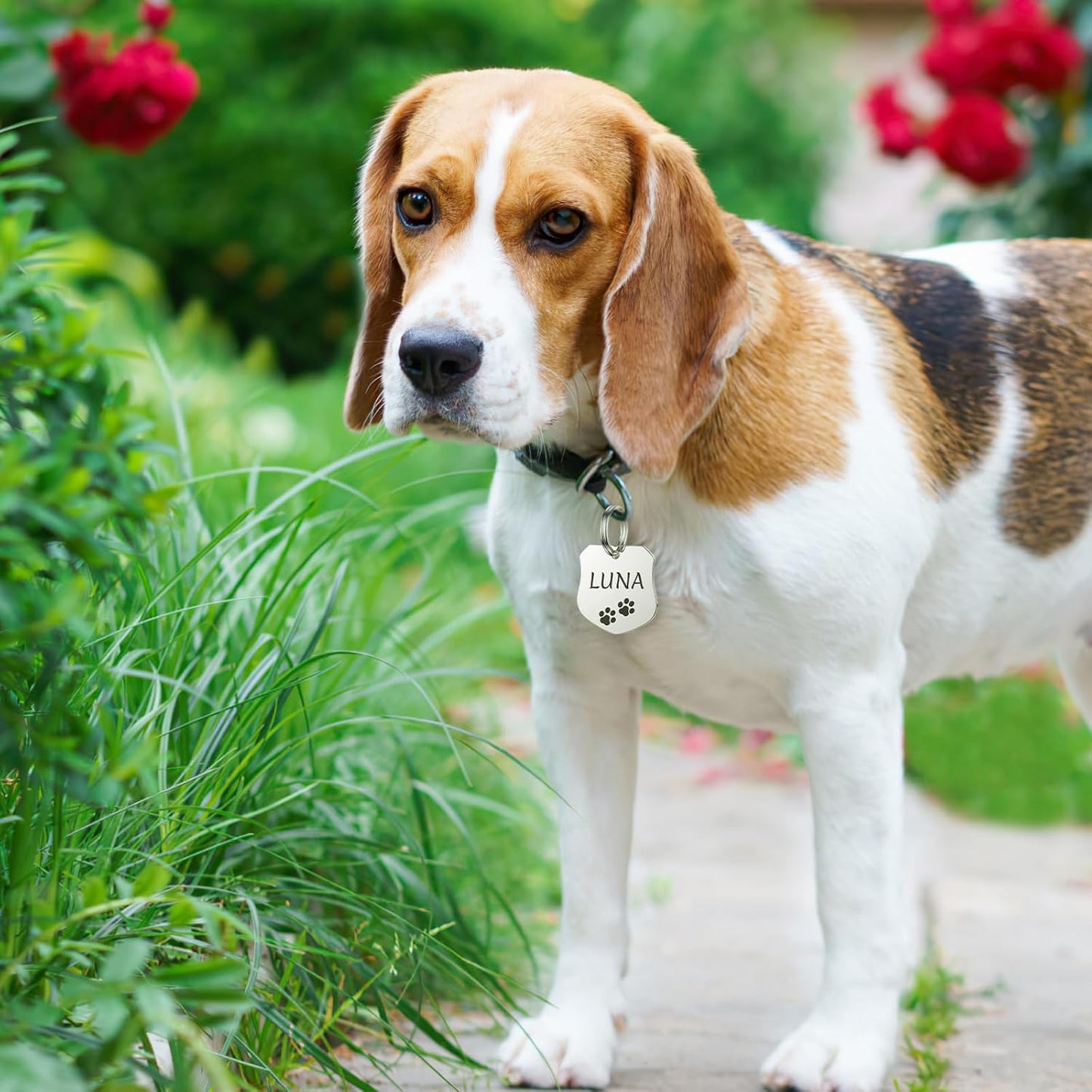 Dog Tags Engraved for Pets - YEHANTI Personalized Dog Tags with Lovely Icons, Durable Stainless Steel Pet ID Tags for Small Large Dogs Cats, Custom Dog Name Tags Engraved on Both Sides (Badge)