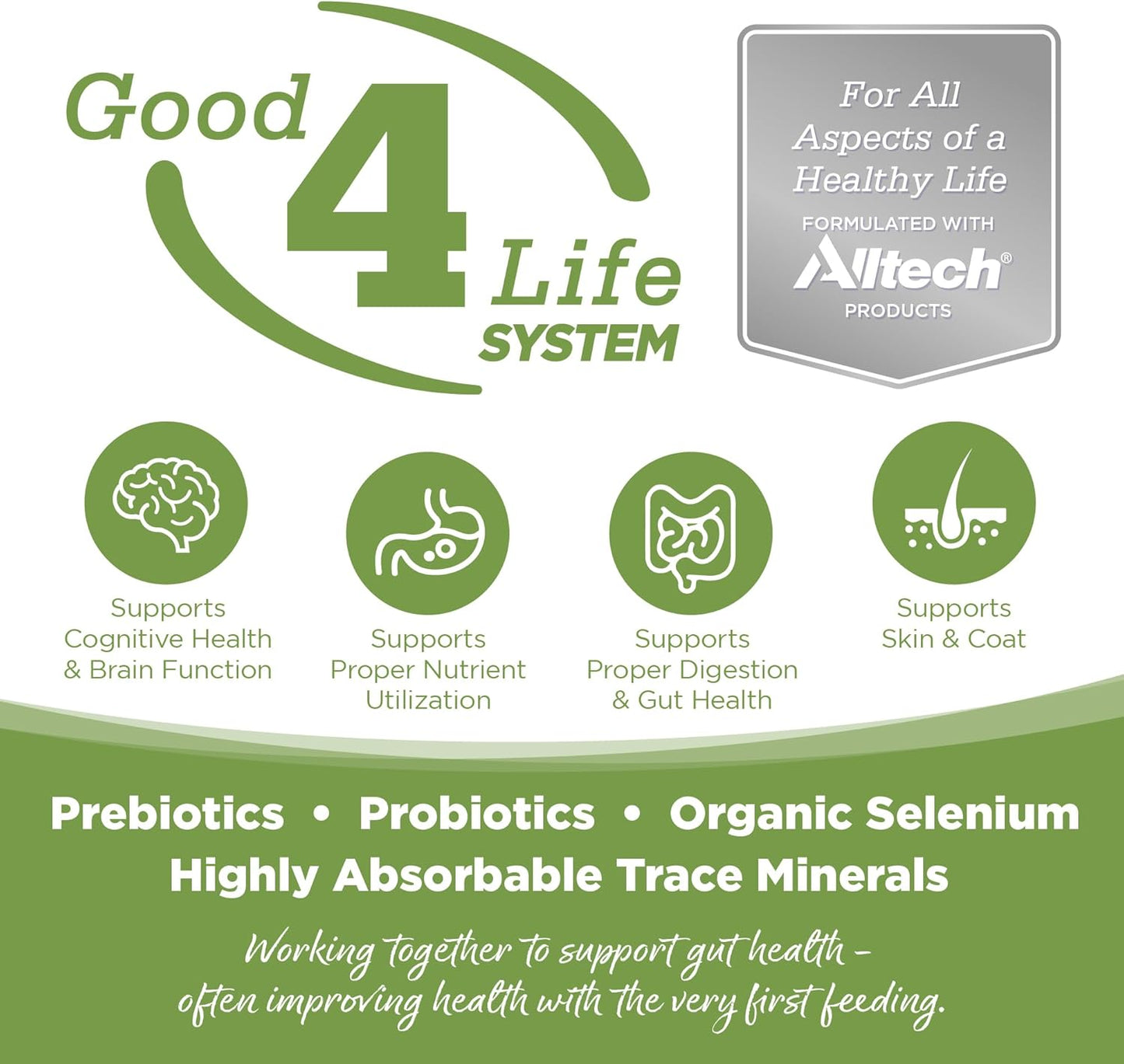 NutriSource Element Series Coastal Plains Dry Dog Food, Turkey, Salmon, and Whitefish, 12LB