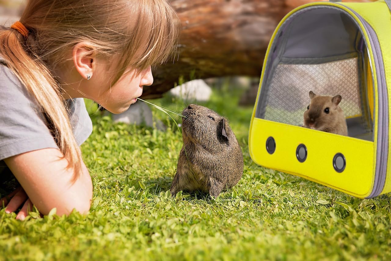 Guinea Pig Carrier Backpack, Clear Bubble Window Backpack for Guinea Pig, Bunny Rat Bird (Yellow, Carrier)