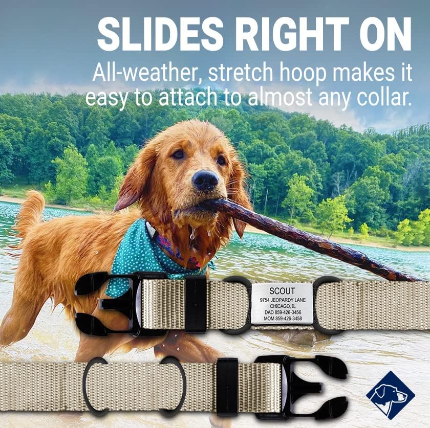 Personalized Dog Tags by ROAD iD | Silent & Durable | Jingle-Free Slide-On Design | Stainless Steel Name Tag Fits Any Collar | Multiple Colors & Sizes for Your Pet's Unique Style