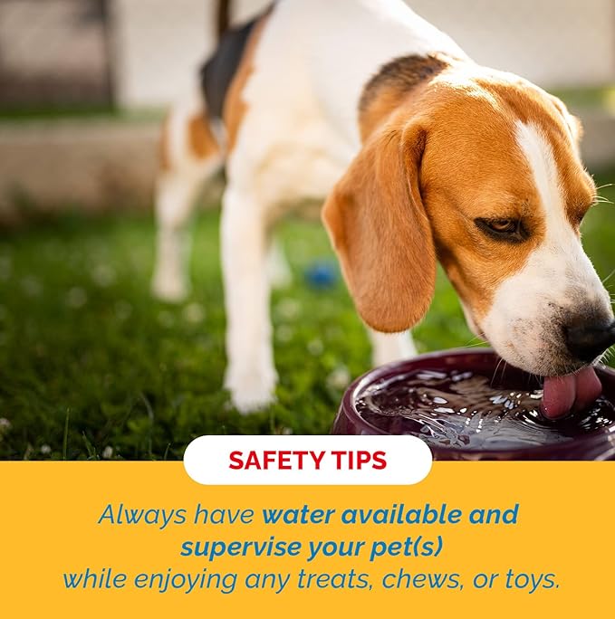 Esophagus Dog Treats - (12 Inches - 20 Count) 100% Natural, Flat Gullet Sticks for Dogs, Beef Jerky Dog Treats Strips, NO Preservatives, Hormones, or Antibiotics