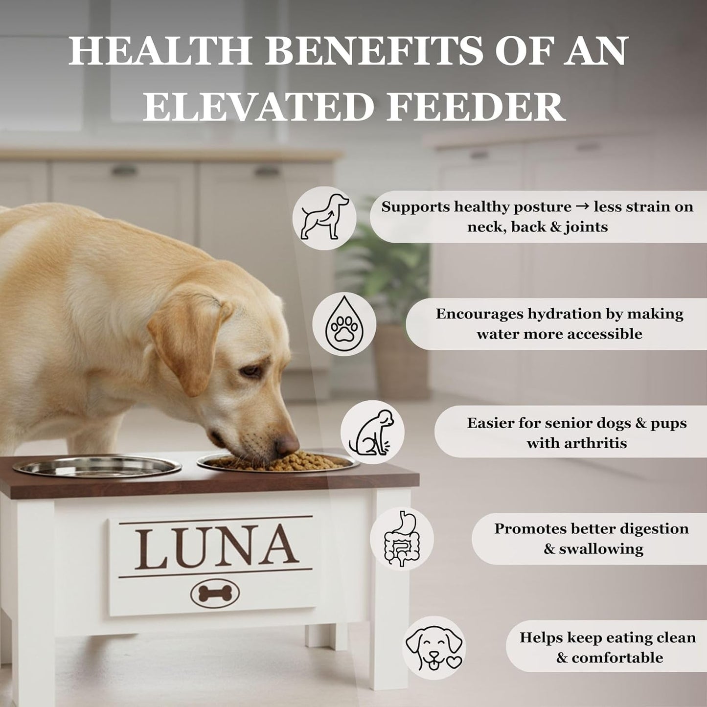 GrooveThis Woodshop - Personalized Elevated Dog Bowl Stand for Large, Medium, Small, X-Small Dogs - Stainless Steel Food and Water Bowls - Raised Dog Dish with Internal Storage (X-Small, Black)