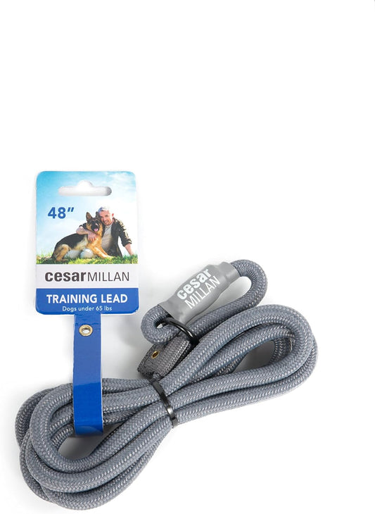 Cesar Millan Slip Lead Leash™ - 2-in-1 Slip Collar Dog Training Lead & Collar | Heavy Duty Durable Weatherproof Rope Leash, No Pull Training | Length 4ft Diameter 4/10”(Regular, Grey)
