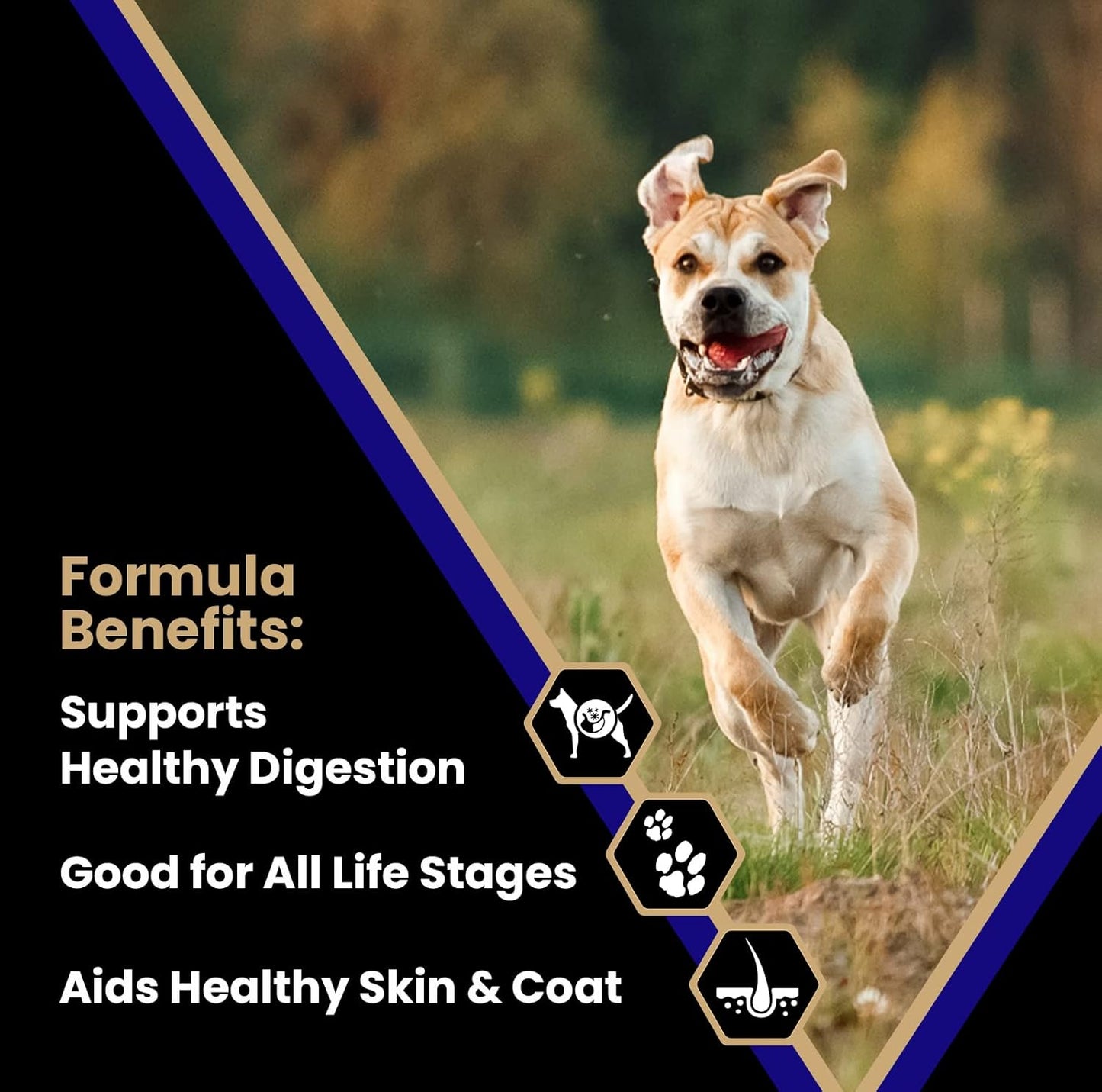 VICTOR Super Premium Dog Food – Select Beef Meal & Brown Rice Formula for Immune and Gut Health – Gluten-Free Beef Meal Dry Dog Food for All Normally Active Dogs of All Life Stages, 5 lbs