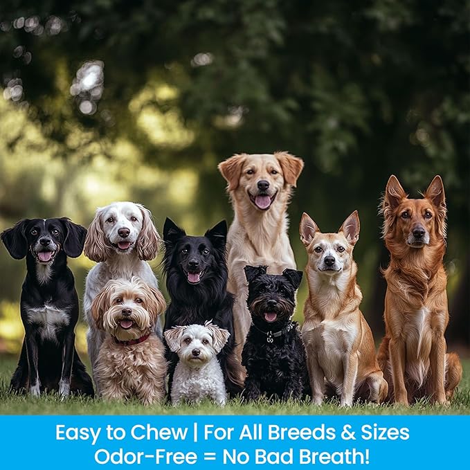 Infinite Pet Life BAAA-RK Bites Lamb Lung Dog Treats | 10oz | Made in USA | Dehydrated Lungs for Dogs