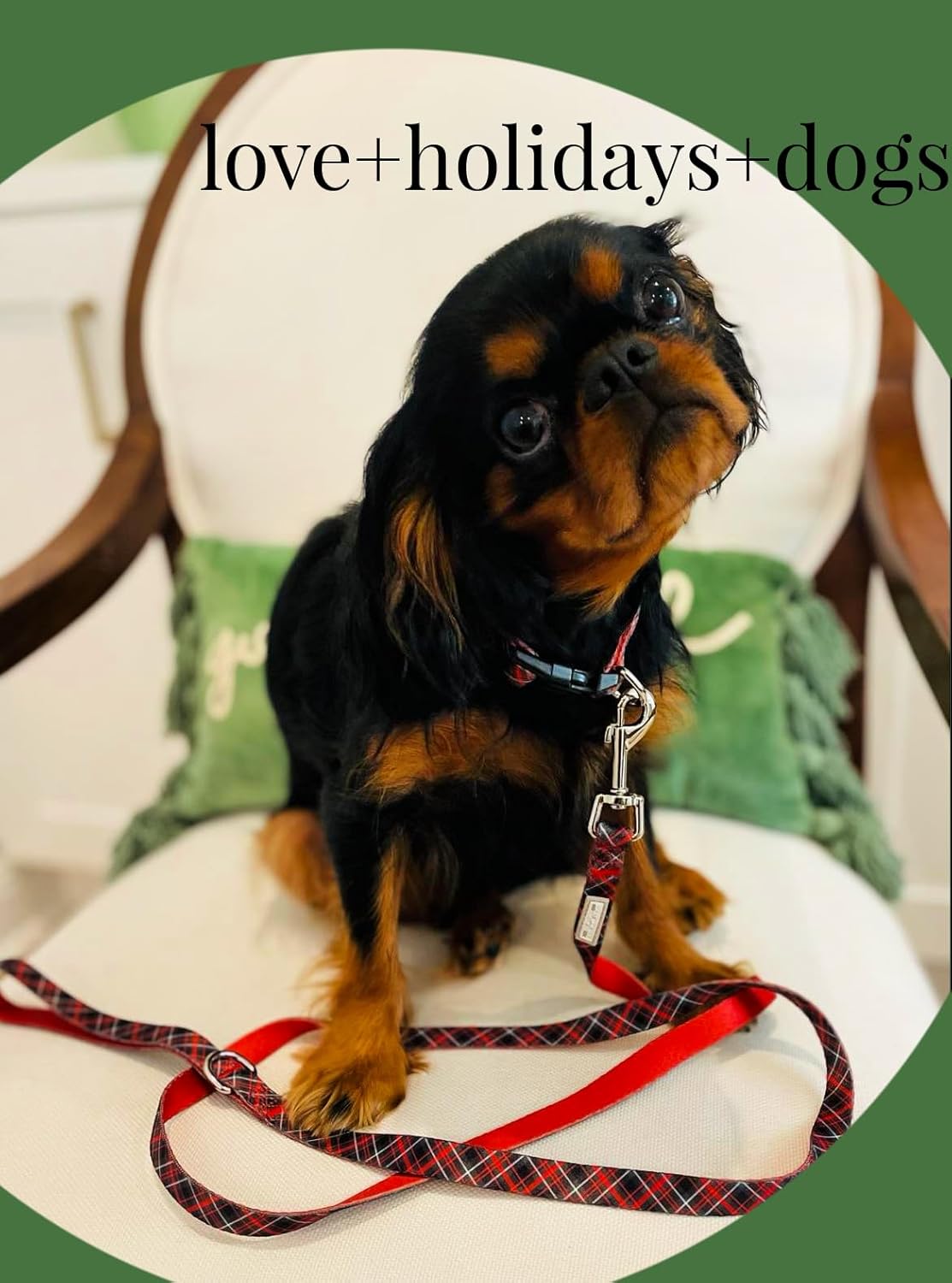 Lucky Love Dog - Easy Click Buckle Dog Collar with Leash Set Combo, Durable & Comfortable for Male & Female Dogs, Pet Collar for Small to Large Dogs, Secure Fit - Heywood Combo, Medium