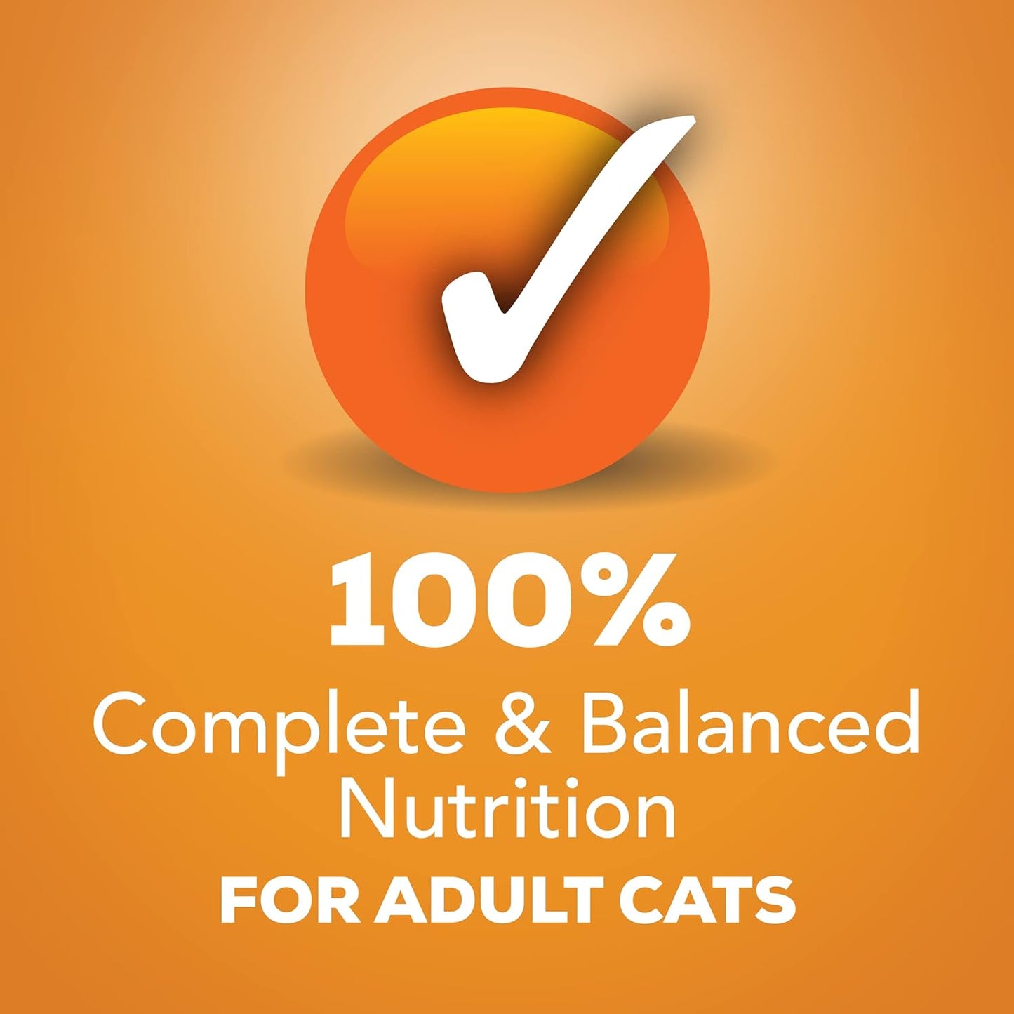 Purina Friskies Pate Wet Cat Food Liver & Chicken (Pack of 12)