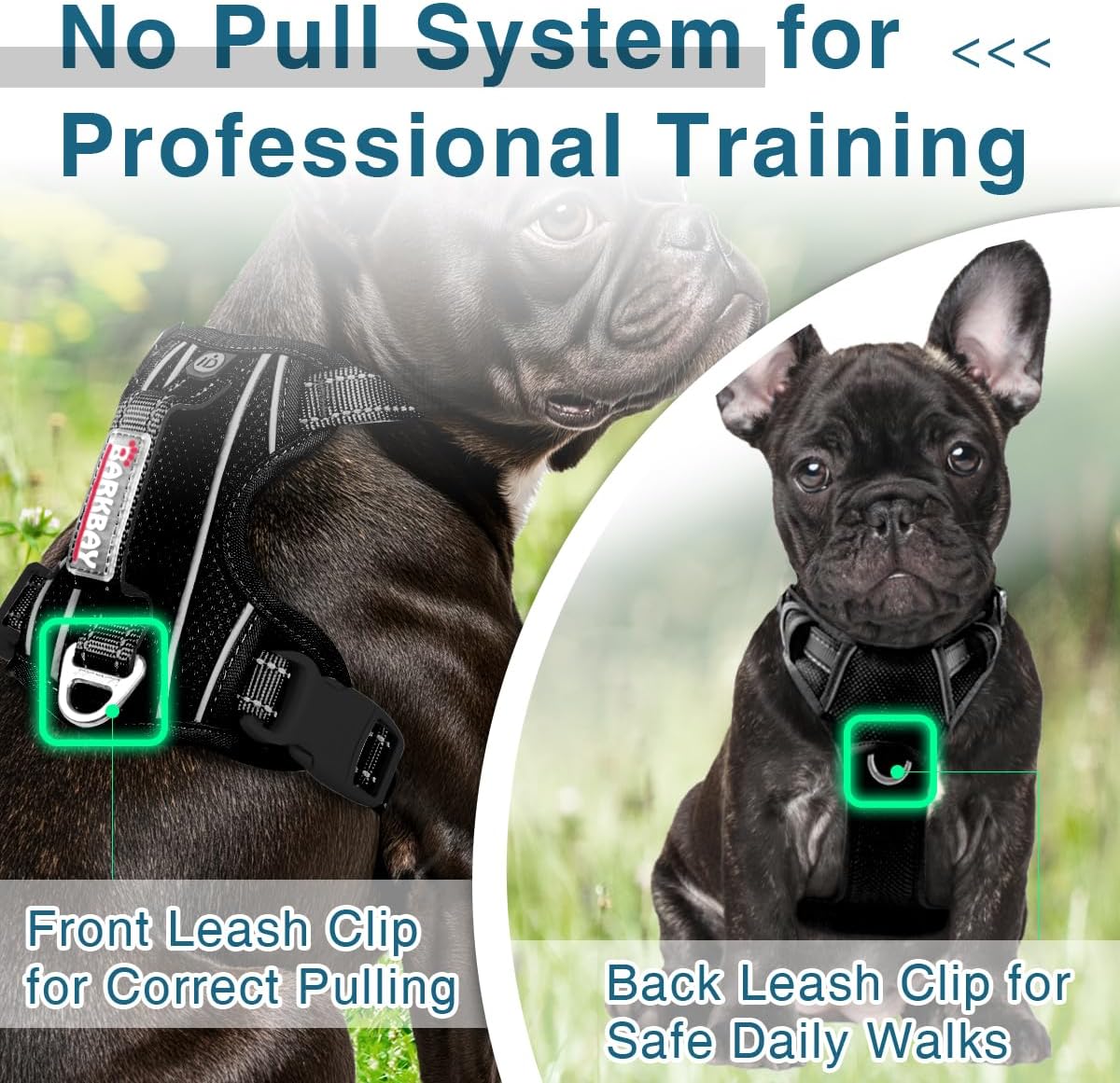 BARKBAY Dog Harness No Pull with ID Tag Pocket - Heavy Duty, Reflective, Easy Control for Large Dogs(Black,XS)