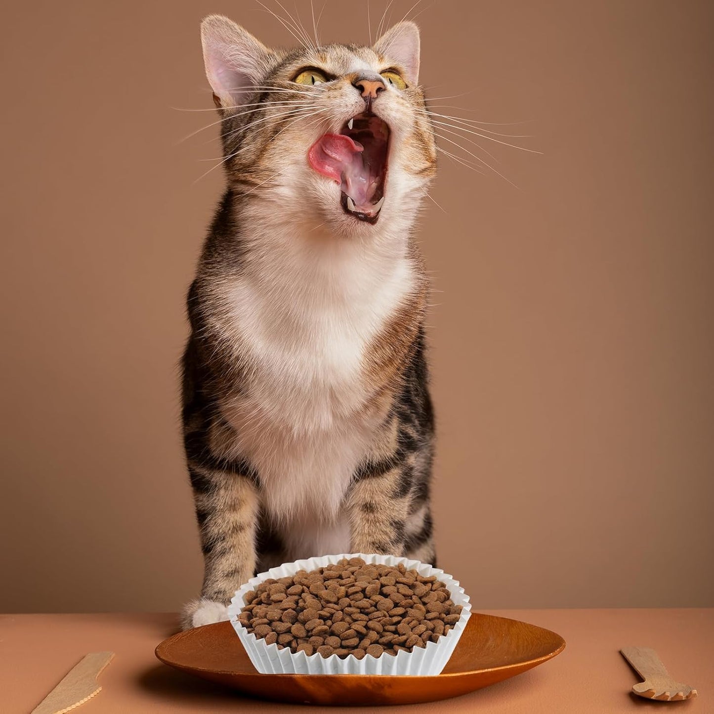 600 Pcs Large Pet Disposable Feeding Bowls Liner, 4 x 1.2 Inch Bulk Cat Food Bowls Pets Feeding Bowl Small Paper Dish Liner for Small Dogs Cats, Paper Bowl for Cat Dishes, Wet Food