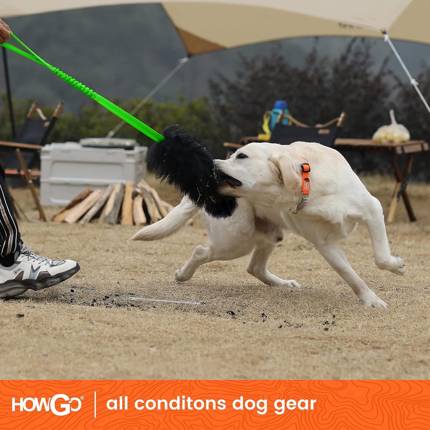 HOWGO Dog Rope Toy,Dog Bungee Chaser Toy 100% Sheepskin,Sheep Smell Tug Toy for All Breeds (Green, Long Without Ball)