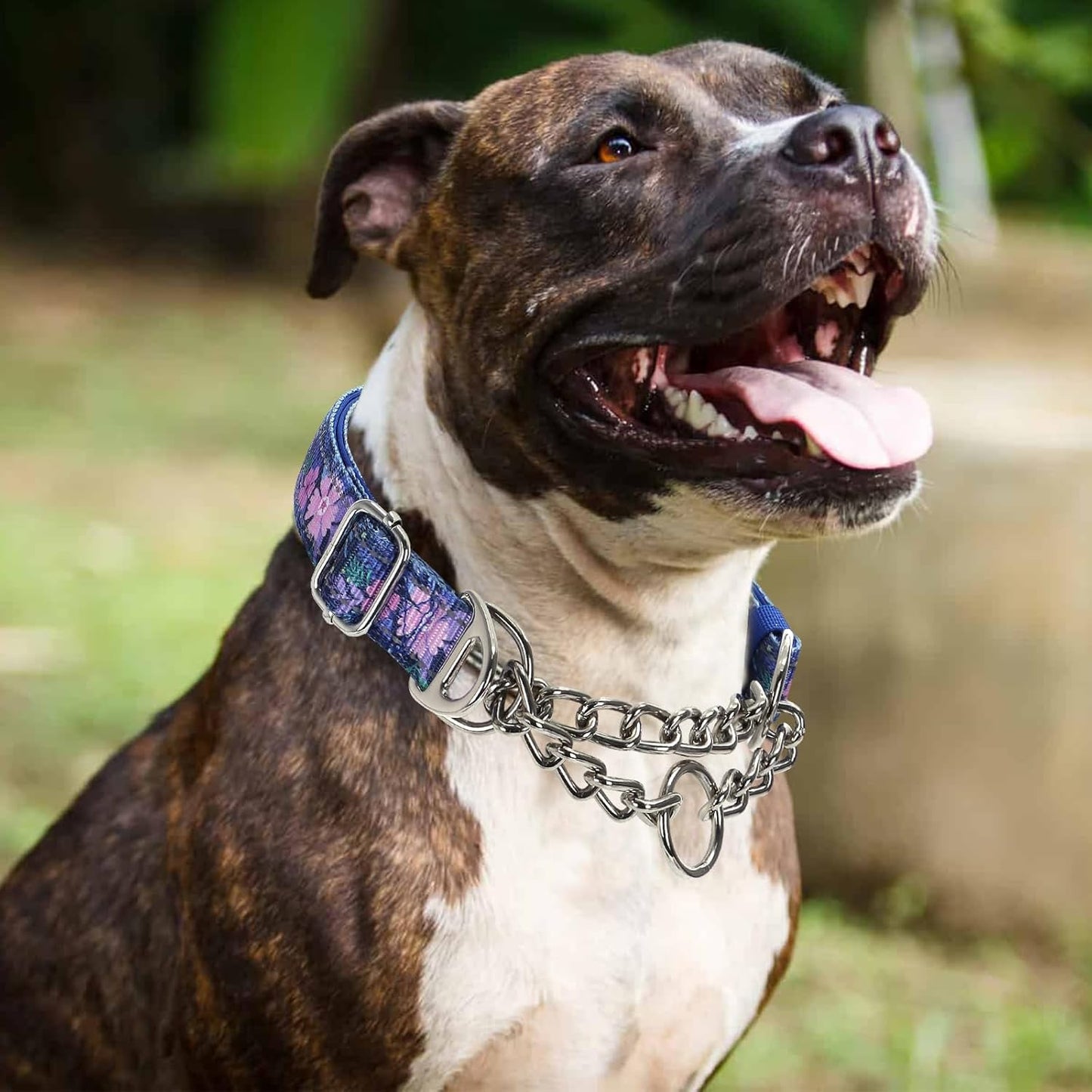 Martingale Dog Collar with Steel Chain, Reflective Choke Collar with Soft Padded- Adjustable No Pull with Bohemia Flower for Training Large Dogs Pet Collars for Walking（XXL