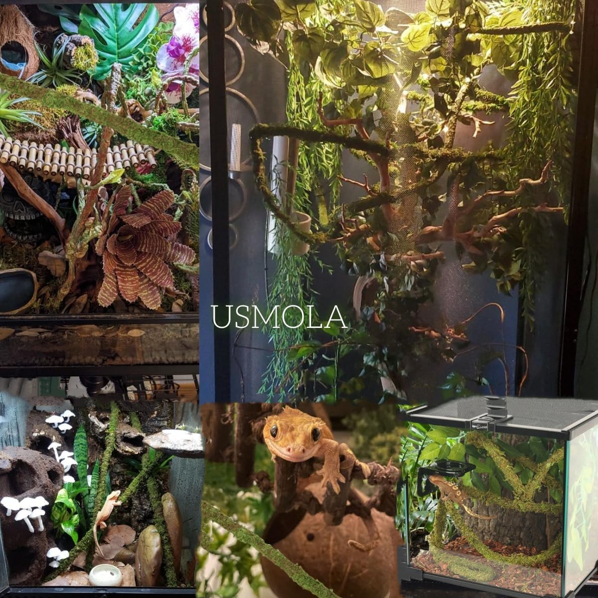 Moss Vine for Reptiles, Bendable Climbing Vines Reptile Tank Accessories, Natural Moss Rope for Leopard Gecko, Lizard, Snake, Chameleon, Frog Terrarium Decor (Jungle Green, 9.8 FT)