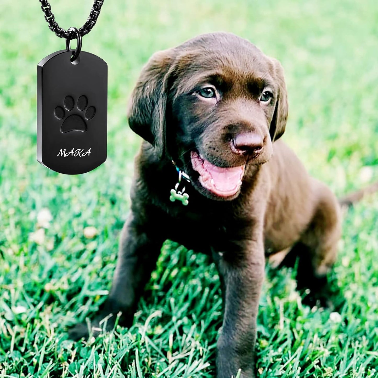 Personalized Urn Necklace for Pet Ashes Custom Photo/Name/Date Paw Print Pendant for Women Men Cremation Jewelry Memorial Keepsake for Dog/Cat/Pet Urn Necklace with Funnel Fill Kit