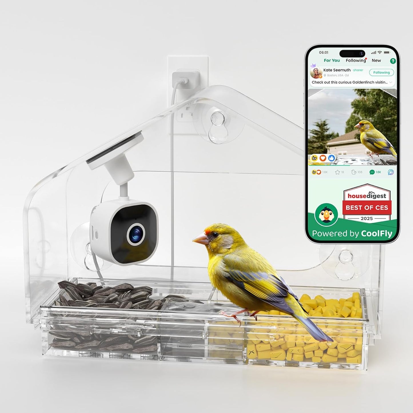Smart Window Bird Feeder with Camera, 24/7 Powered for 2K HD Live View & AI Species ID, Wild Bird House with 3 Strong Suction Cups, Gift for Bird Watchers (Clear)