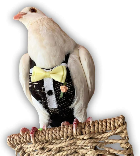 Bev's Birds Boutique - Regular Flyper, Tuxedo Time Size 7.5