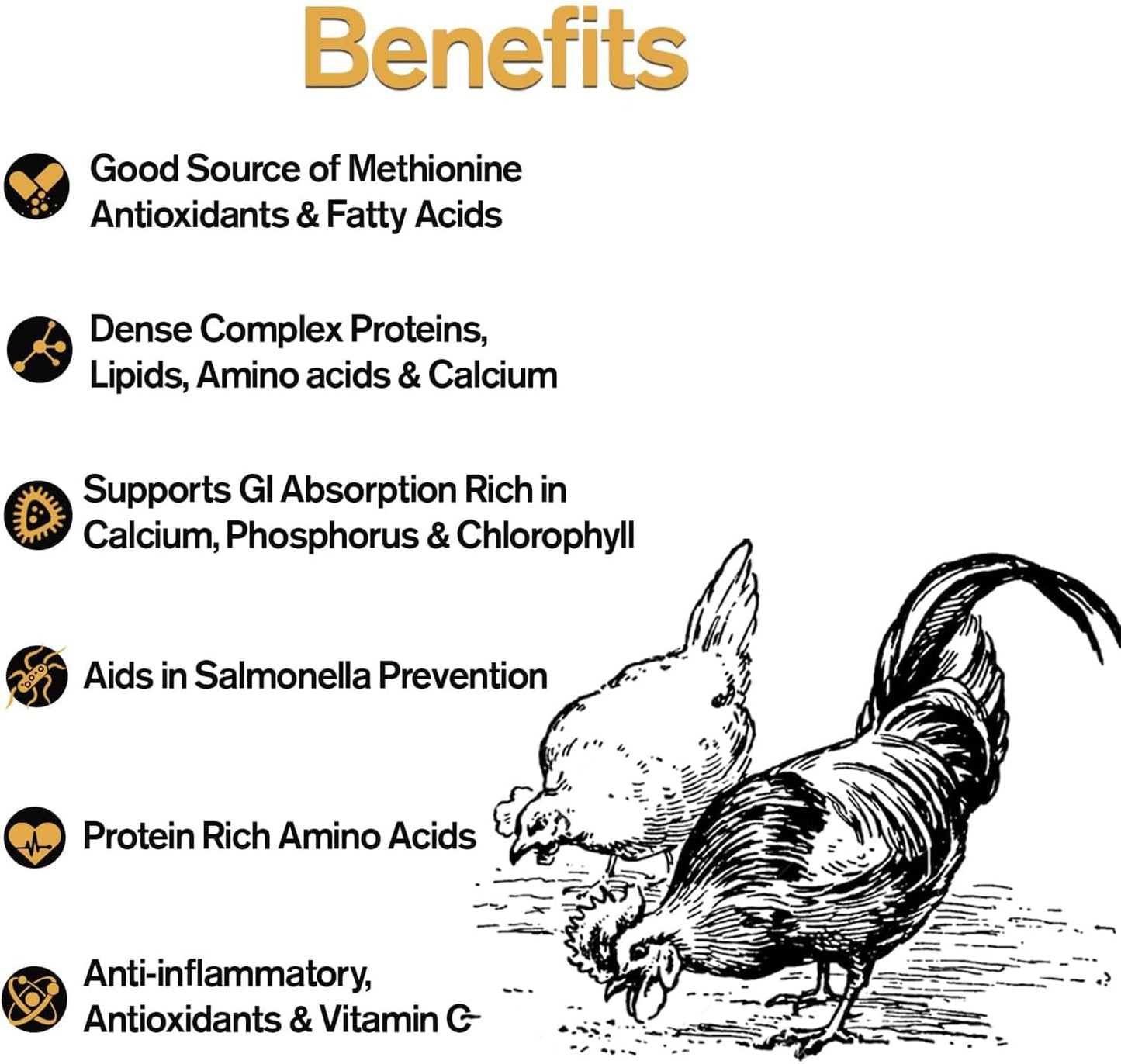 Naturally Fortified Flock Booster - Concentrated Protein and Flora Supplements Suitable for Hens and Ducks, Hand Mixed USA Grown Ingredients – Vitale Molt & Laying – 16oz