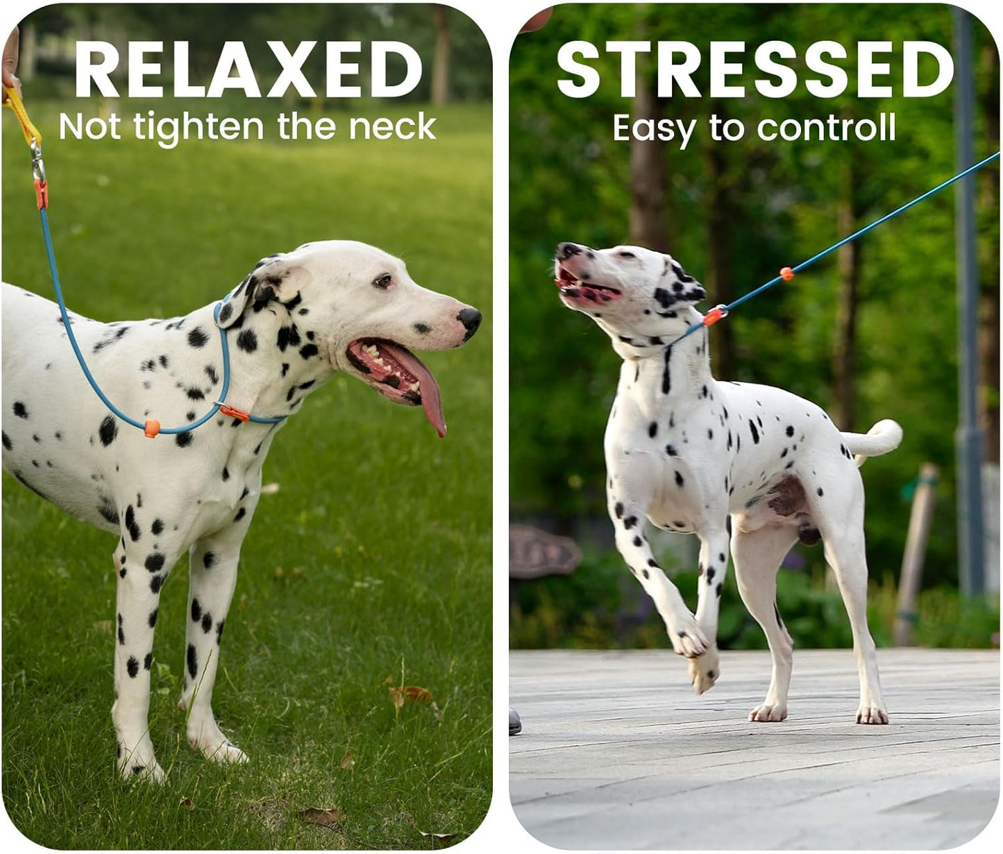 Howgo Slip Lead Dog Leash with Double Handles | Reflective Dog Training Leash with 360° Swivel Anti-Tangle | Heavy-Duty Leash and Collar for Large Medium and Small Dogs No-Pull Walking (Pink, 5.5FT)