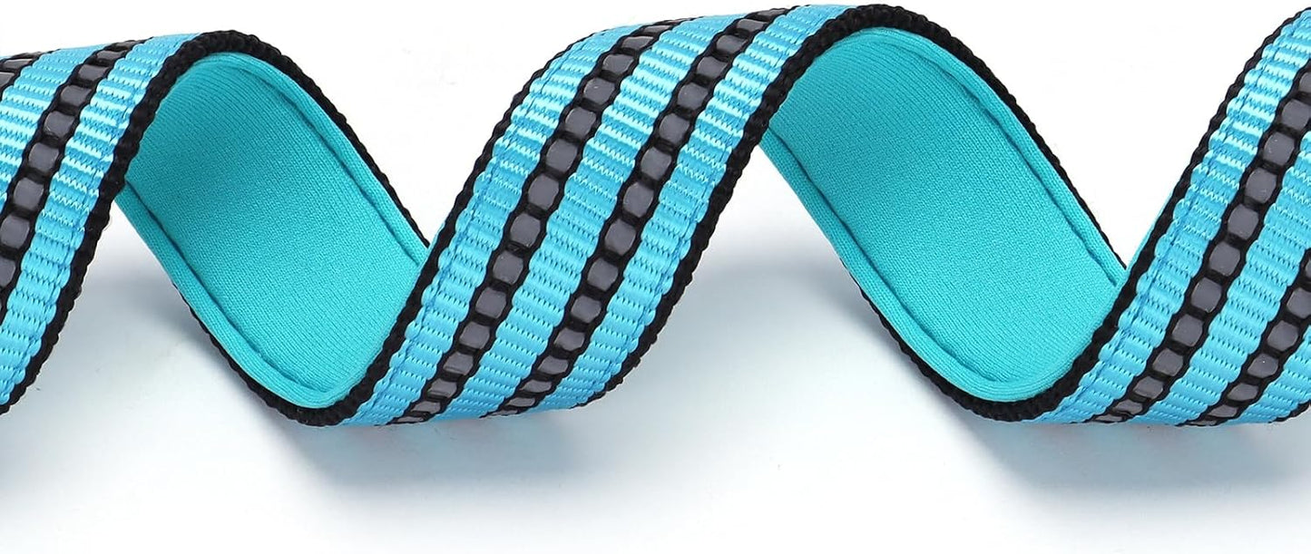 Choke Collar for Dogs，Stainless Steel Chain Collar Martingale, No Pull Slip Cinch Training Escape Proof Heavy Duty Dog Collar for Small Medium Large Pet Boy Male Dogs，Blue M