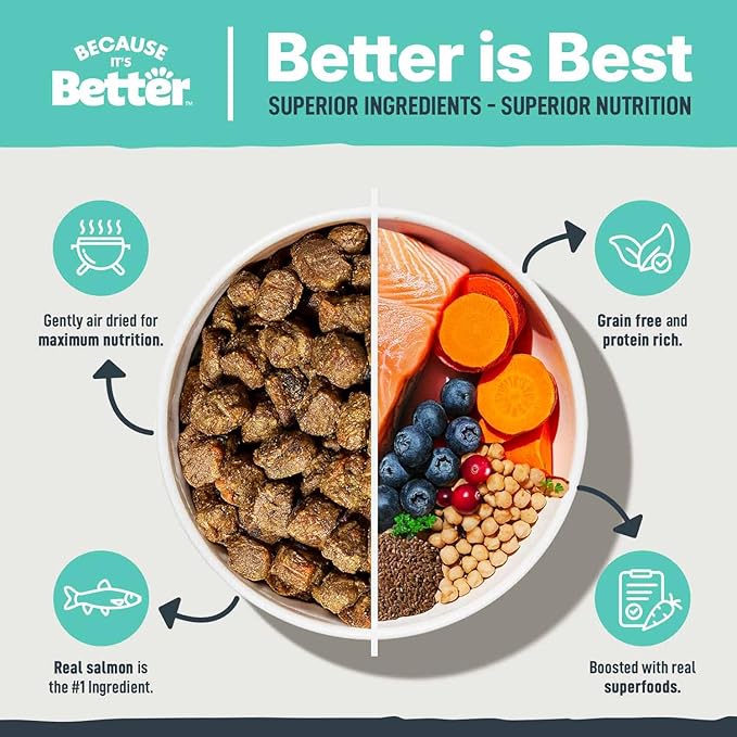 Because it's Better Slow Baked and Air Dried Dog Food, Real Salmon and Veggies, 3lb Bag, Complete and Balanced Dry Dog Food, for All Life Stages