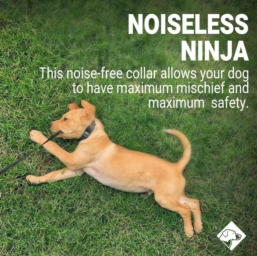 Personalized Dog Tags by ROAD iD | Silent & Durable | Jingle-Free Slide-On Design | Stainless Steel Name Tag Fits Any Collar | Multiple Colors & Sizes for Your Pet's Unique Style