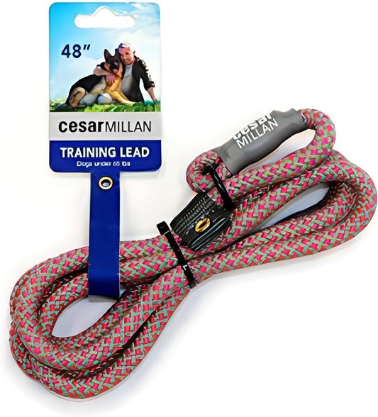 Cesar Millan Slip Lead Leash™ - 2-in-1 Slip Collar Dog Training Lead & Collar | Heavy Duty Durable Weatherproof Rope Leash, No Pull Training | Length 4ft Diameter 4/10”(Regular, Pink/Grey)