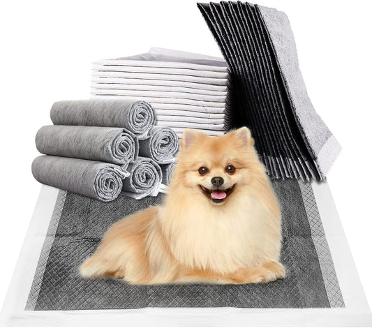 Fhiny Pee Pads for Small Dogs, 24" x 24" 40 PCS Large Disposable Puppy Pads Leak-Proof Super Absorbent Charcoal Potty Training Pad with Quick-Dry Surface for Dogs Puppies Cats Kittens or Small Pets