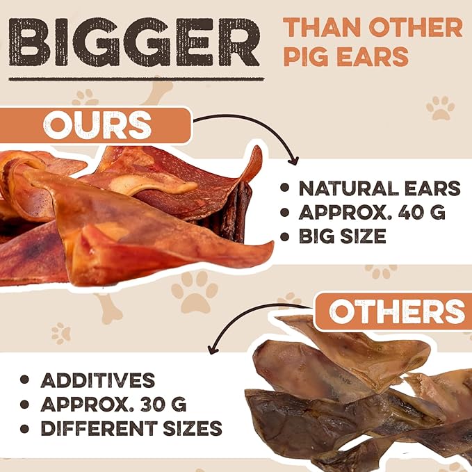 BRUTUS & BARNABY Pig Ears for Dogs, 100 Ct. – Whole or Half, All Natural Single Ingredient Dog Chews, Slow Cooked & Fully Digestible Rawhide Alternative