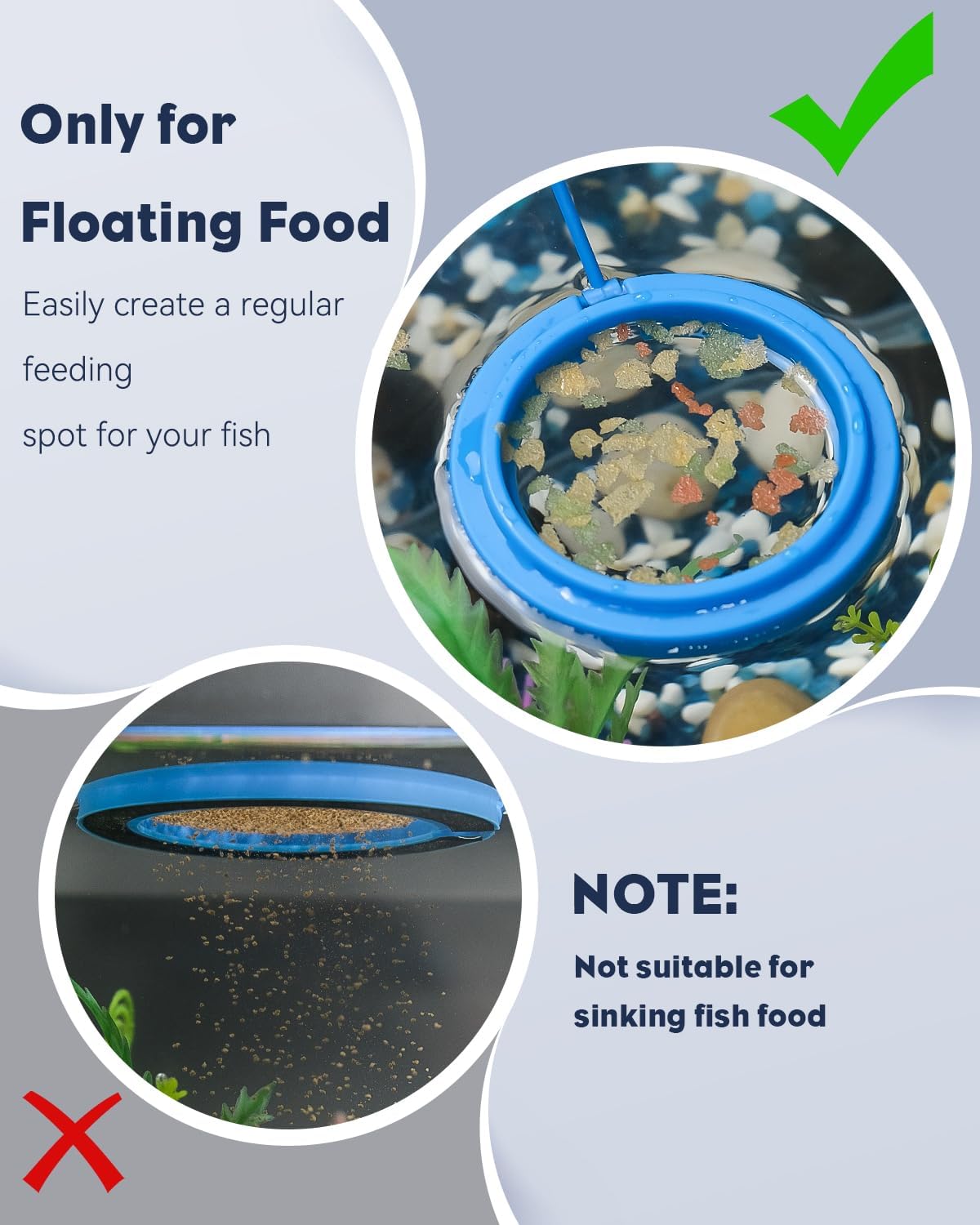 Pawfly 2 Pcs Fish Feeding Ring for Aquarium – Round and Square Floating Food Feeder with Suction Cup for Betta, Goldfish, Guppy, Turtle & Small Fish