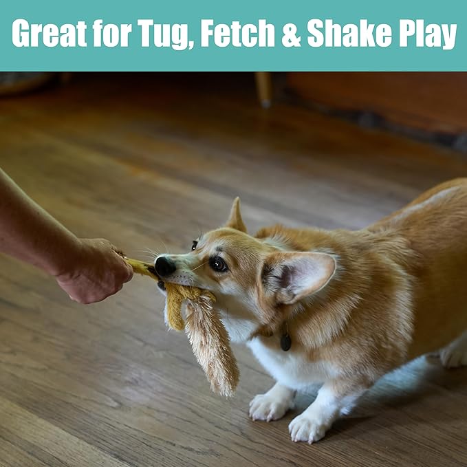 SPOT Skinneeez Flying Squirrel 14 Inch Stuffing-Free Plush Squeaky Dog Toy – Soft Tug-of-War Toy for Small and Medium Dogs – Mess-Free Interactive Chew Toy for Moderate Chewers