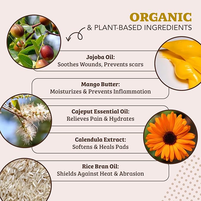 Natural Dog Company PawTection Balm 2 oz Tin – Wax-Based Paw Protector Stick with Shea Butter & Calendula – Shields Paws from Snow, Ice, Salt, Hot Pavement & Rough Terrain – Lick-Safe, All Breeds